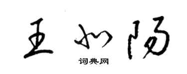 梁锦英王北阳草书个性签名怎么写
