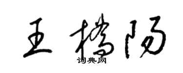 梁锦英王桥阳草书个性签名怎么写