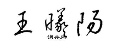 梁锦英王曦阳草书个性签名怎么写