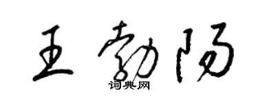 梁锦英王勃阳草书个性签名怎么写