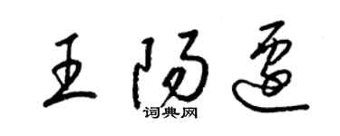 梁锦英王阳迁草书个性签名怎么写