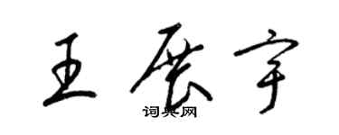 梁锦英王展宇草书个性签名怎么写