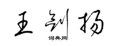 梁锦英王剑扬草书个性签名怎么写