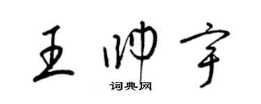 梁锦英王帅宇草书个性签名怎么写