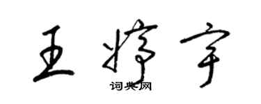 梁锦英王婷宇草书个性签名怎么写