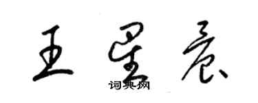 梁锦英王星晨草书个性签名怎么写