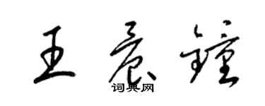 梁锦英王晨钟草书个性签名怎么写