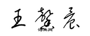 梁锦英王馨晨草书个性签名怎么写