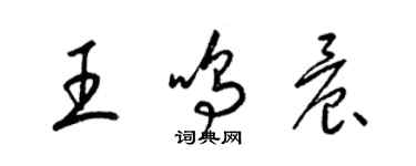 梁锦英王鸣晨草书个性签名怎么写