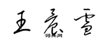 梁锦英王晨雪草书个性签名怎么写