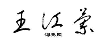 梁锦英王江兰草书个性签名怎么写