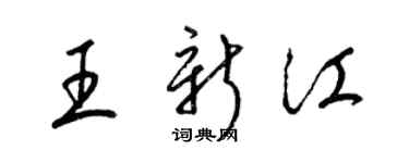 梁锦英王新江草书个性签名怎么写