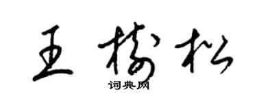 梁锦英王树松草书个性签名怎么写
