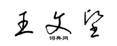 梁锦英王文坚草书个性签名怎么写