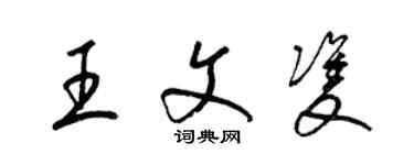 梁锦英王文双草书个性签名怎么写