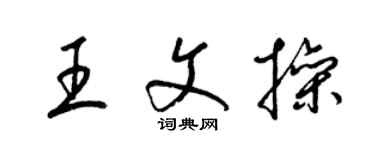 梁锦英王文操草书个性签名怎么写