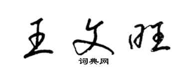 梁锦英王文旺草书个性签名怎么写