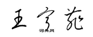 梁锦英王宁菲草书个性签名怎么写