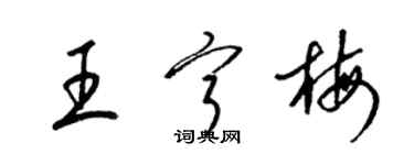 梁锦英王宁梅草书个性签名怎么写