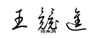 梁锦英王竞进草书个性签名怎么写