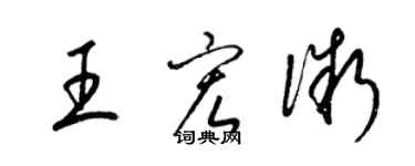 梁锦英王宏微草书个性签名怎么写