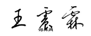 梁锦英王震霖草书个性签名怎么写