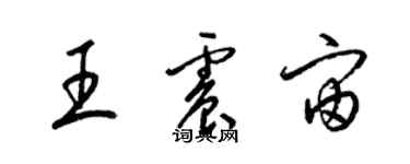 梁锦英王震宙草书个性签名怎么写