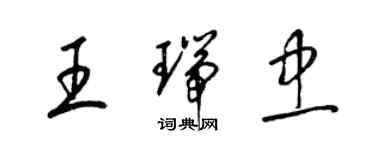 梁锦英王瑞忠草书个性签名怎么写