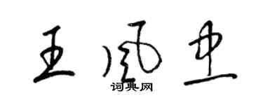 梁锦英王风忠草书个性签名怎么写