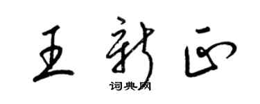 梁锦英王新正草书个性签名怎么写