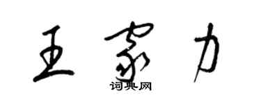 梁锦英王家力草书个性签名怎么写