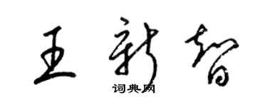 梁锦英王新智草书个性签名怎么写