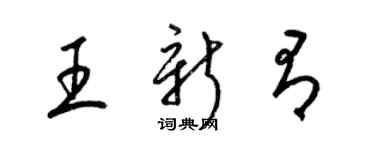 梁锦英王新有草书个性签名怎么写
