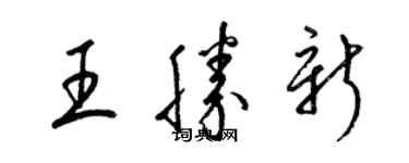 梁锦英王胜新草书个性签名怎么写