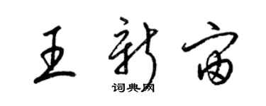 梁锦英王新宙草书个性签名怎么写