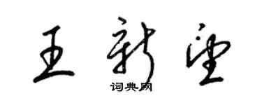 梁锦英王新望草书个性签名怎么写