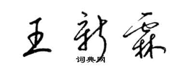 梁锦英王新霖草书个性签名怎么写