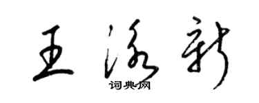 梁锦英王泳新草书个性签名怎么写