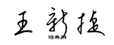 梁锦英王新捷草书个性签名怎么写
