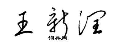 梁锦英王新润草书个性签名怎么写