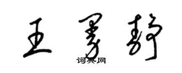 梁锦英王曼静草书个性签名怎么写