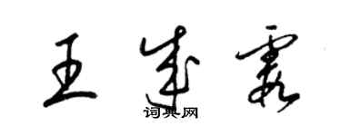 梁锦英王成霞草书个性签名怎么写