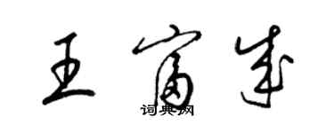 梁锦英王富成草书个性签名怎么写