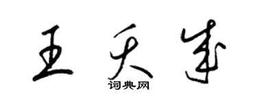 梁锦英王夭成草书个性签名怎么写