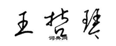 梁锦英王哲琴草书个性签名怎么写
