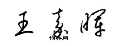 梁锦英王嘉晖草书个性签名怎么写