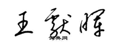 梁锦英王献晖草书个性签名怎么写