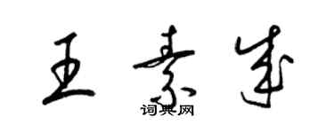 梁锦英王素成草书个性签名怎么写