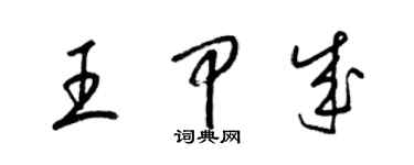 梁锦英王甲成草书个性签名怎么写