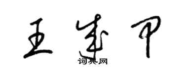 梁锦英王成甲草书个性签名怎么写